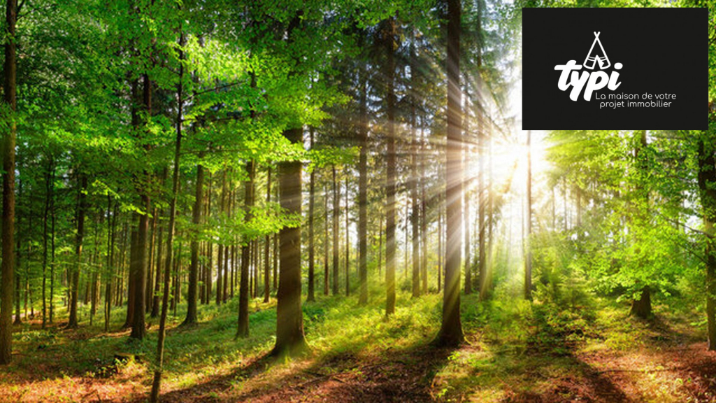 Terrain à vendre Inzinzac-Lochrist-Inzinzac-Lochrist-VT070-TYPI-IMMO-https://img.netty.immo/productrtw/company39917mlm/2/VT070/1752845780_VT070_1_original.jpg