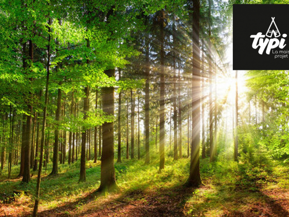 Terrain à vendre Inzinzac-Lochrist-Inzinzac-Lochrist-VT070-TYPI-IMMO-https://img.netty.immo/productrtw/company39917mlm/2/VT070/1752845780_VT070_1_original.jpg