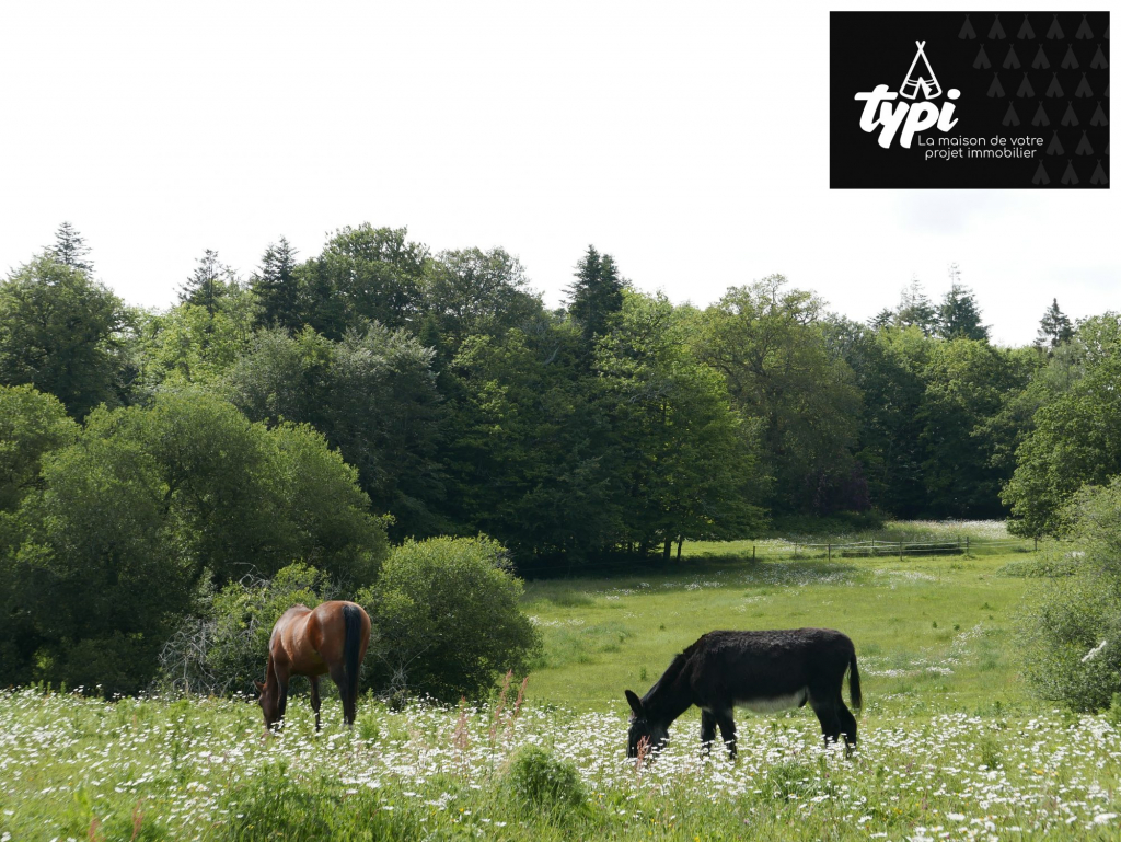 Terrain à vendre Hennebont-Hennebont-VT097-TYPI-IMMO-https://img.netty.immo/productrtw/company39917mlm/2/VT097/1774947005_VT097_3_original.jpg