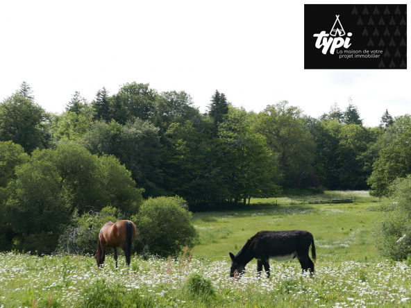 Terrain à vendre Hennebont-Hennebont-VT097-TYPI-IMMO-https://img.netty.immo/productrtw/company39917mlm/2/VT097/1774947005_VT097_3_original.jpg